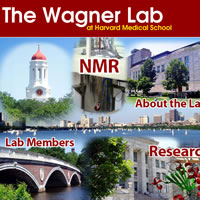 Wagner Lab at Harvard Medical School